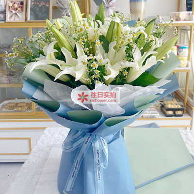 信阳8支白色多头百合洋甘菊，互倾的思念