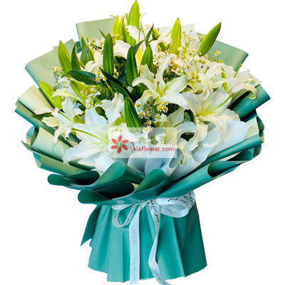 信阳8支白色多头百合洋甘菊，如潮的思念